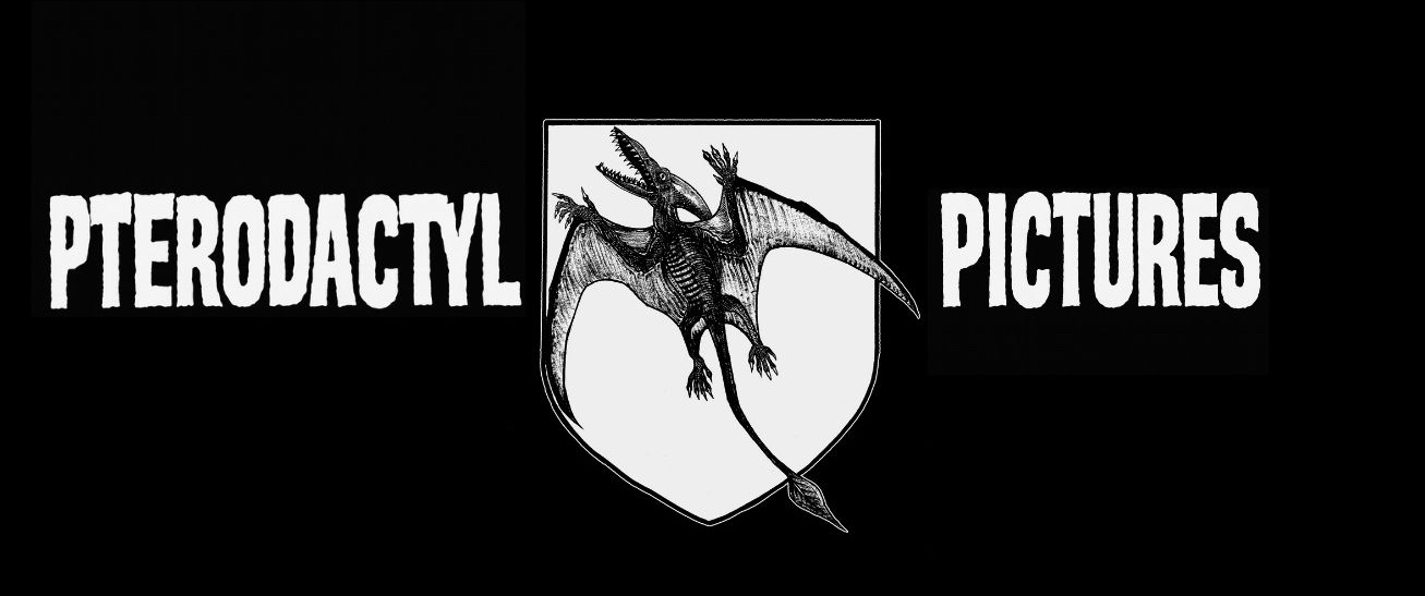 Pterodactyl Pictures banner